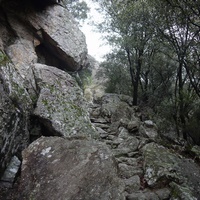 Photo de france - La randonnée du Mont Caroux